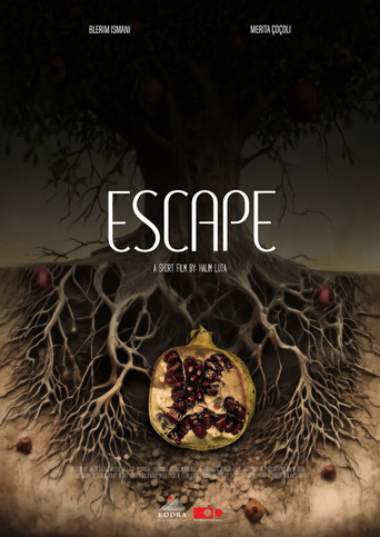 Escape movie poster