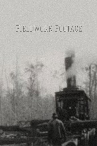 Fieldwork Footage movie poster