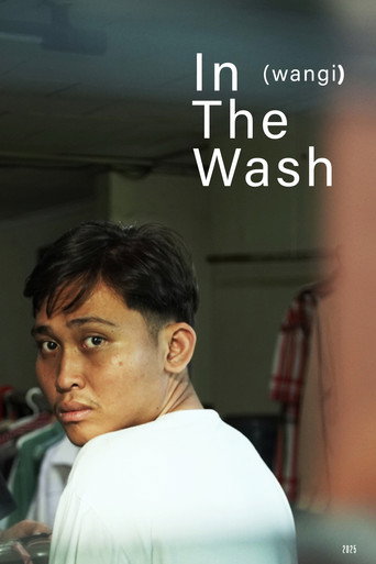 In The Wash movie poster