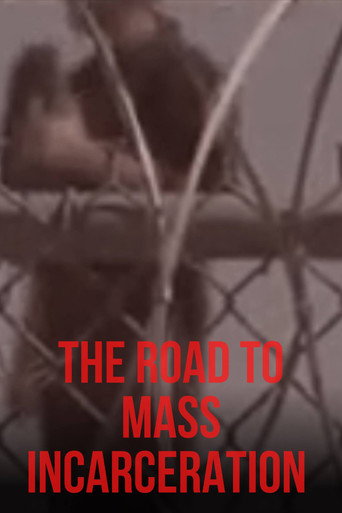 The Road to Mass Incarceration movie poster
