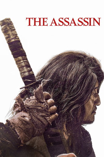 The Assassin movie poster