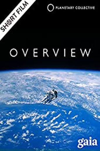 Overview movie poster