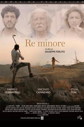 Re minore movie poster