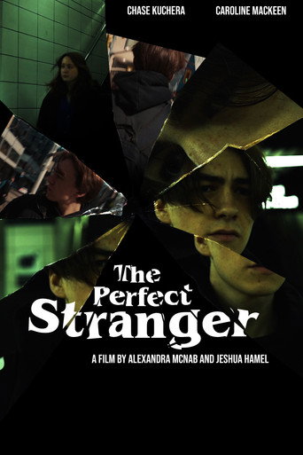 The Perfect Stranger movie poster