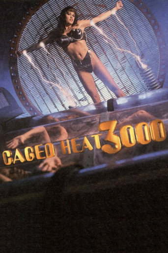 Caged Heat 3000 movie poster