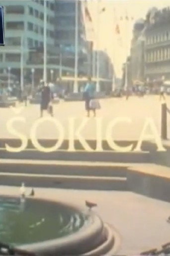 A Shokac Woman movie poster