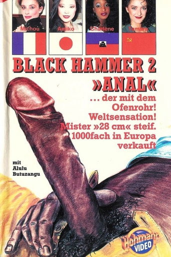 Le Marteau Pilon Anal movie poster