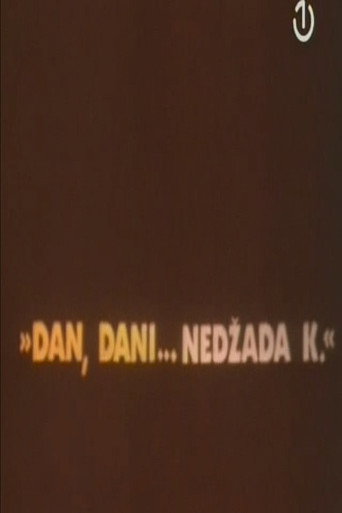 A Day, Days... of Nedzad K. movie poster