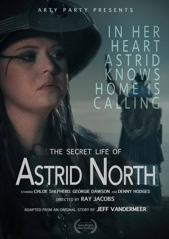 The Secret Life of Astrid North movie poster