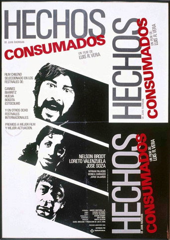 Hechos consumados movie poster