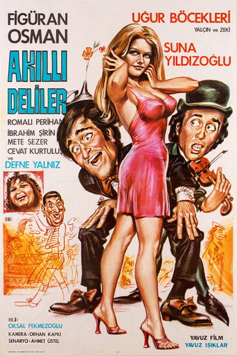 Akıllı Deliler movie poster