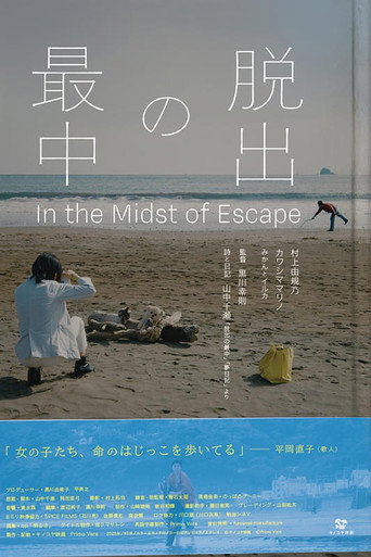 脱出の最中 movie poster