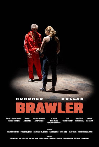 Hundred Dollar Brawler movie poster