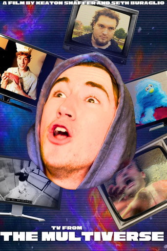 TV From The MULTIVERSE 2! movie poster