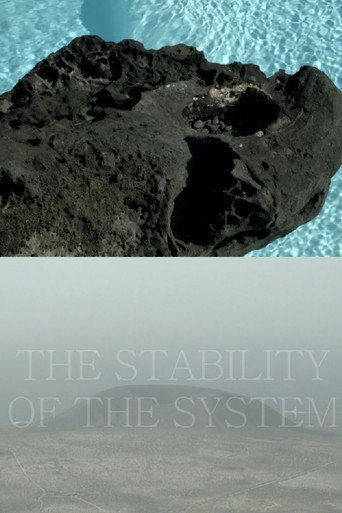 THE STABILITY OF THE SYSTEM movie poster