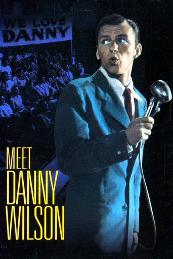 Meet Danny Wilson movie poster