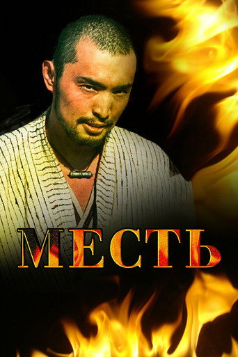 Revenge movie poster