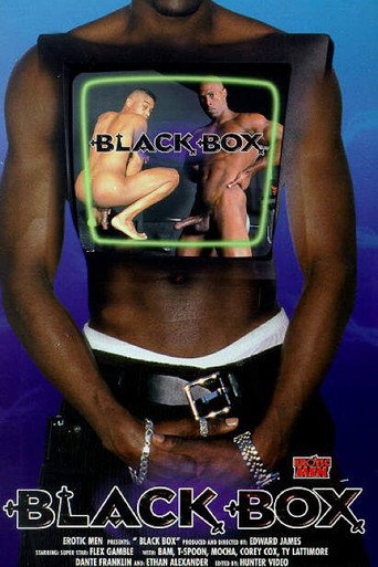 Black Box movie poster