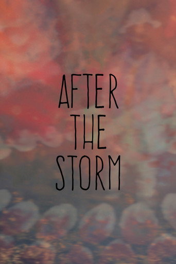 After the Storm movie poster