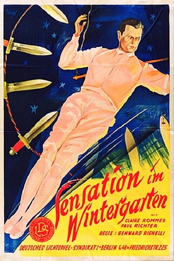 Their Son movie poster
