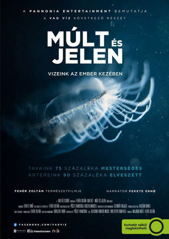 Land of Waters: Created by Man, Overtaken by Nature movie poster