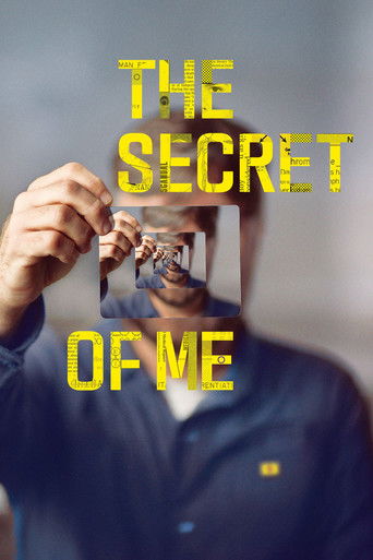 The Secret of Me movie poster