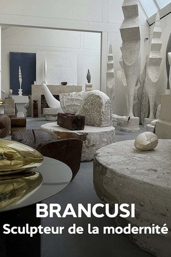 Brancusi : les métamorphoses de la sculpture movie poster