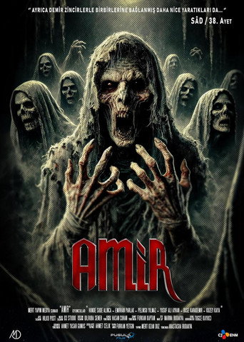 Amir movie poster