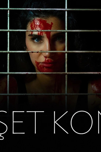 Dehşet Konağı movie poster
