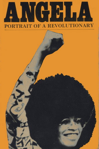 Angela Davis: Portrait of a Revolutionary movie poster