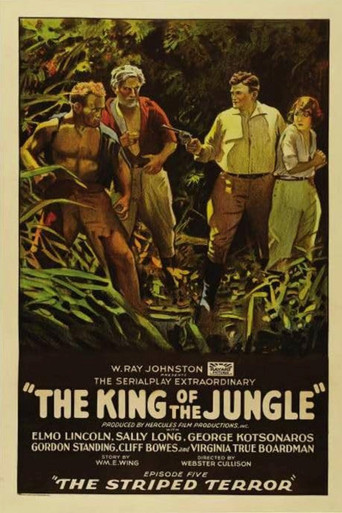 The King of the Jungle movie poster
