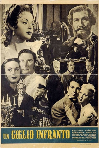 Un giglio infranto movie poster