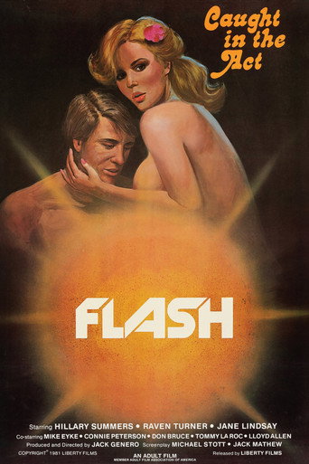 Flash movie poster