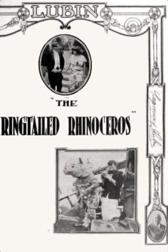 The Ringtailed Rhinoceros movie poster