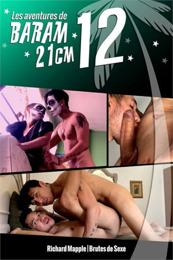 Les Aventures de Baram 21CM 12 movie poster