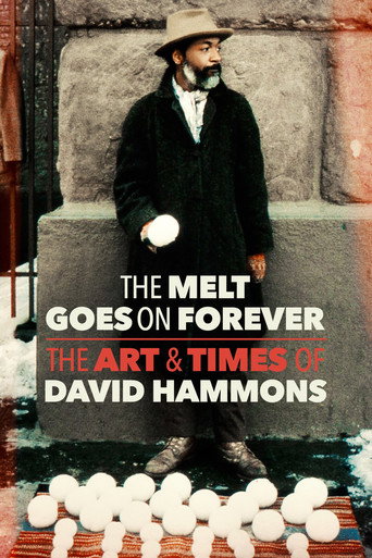 The Melt Goes on Forever: The Art & Times of David Hammons movie poster