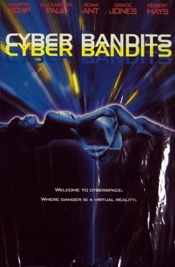 Cyber Bandits movie poster