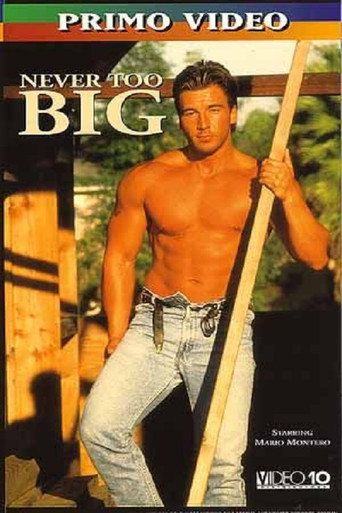 Never Too Big movie poster