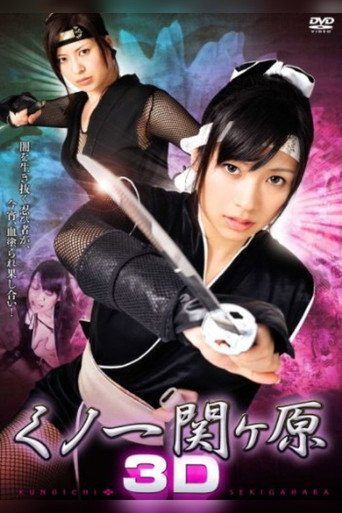 Kunoichi Sekigahara 3D movie poster
