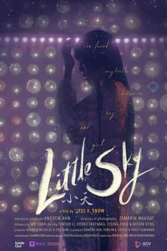 Little Sky movie poster