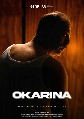 Ocarina movie poster