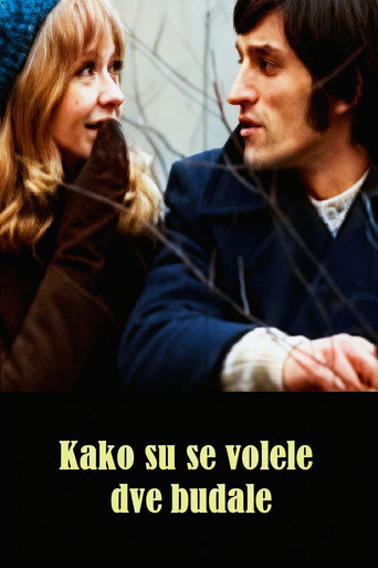 How the Two Fools Loved Each Other movie poster