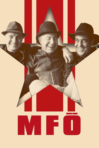 MFÖ Akustik movie poster
