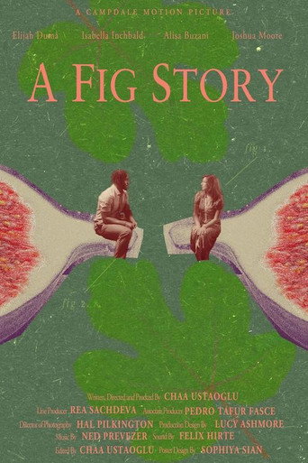 A Fig Story movie poster