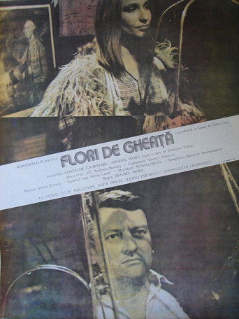 Flori de gheață movie poster