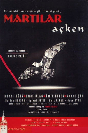 Martılar Açken movie poster