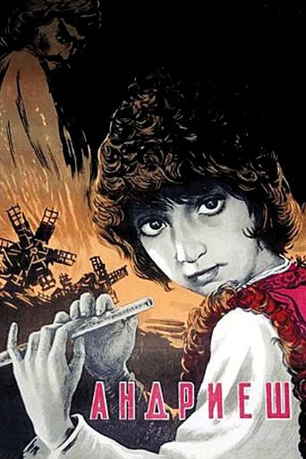 Andriesh movie poster