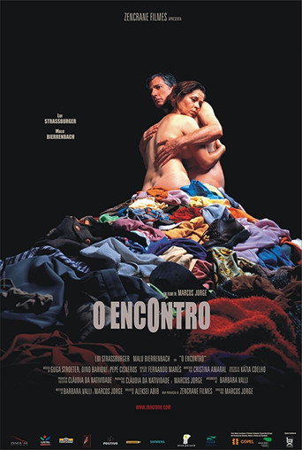 O Encontro movie poster