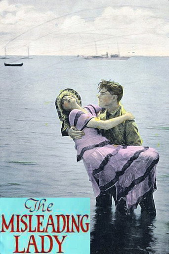 The Misleading Lady movie poster