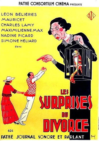 Les surprises du divorce movie poster